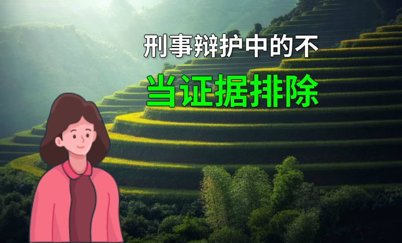 刑事辩护中的不当证据排除 动画制作软件有哪些