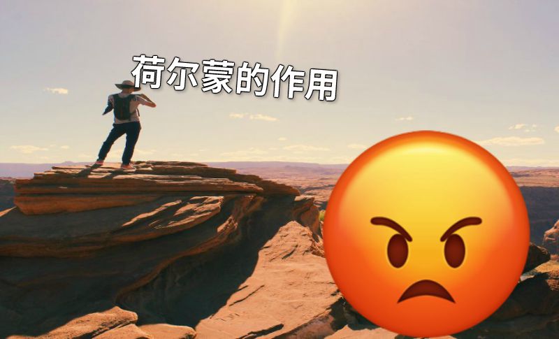 荷尔蒙的作用 动画制作软件有哪些