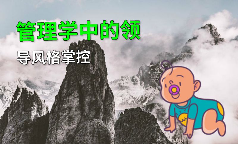 管理学中的领导风格掌控 动画制作软件有哪些
