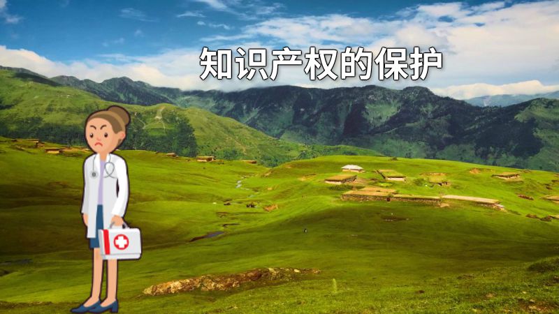知识产权的保护 动画制作软件有哪些