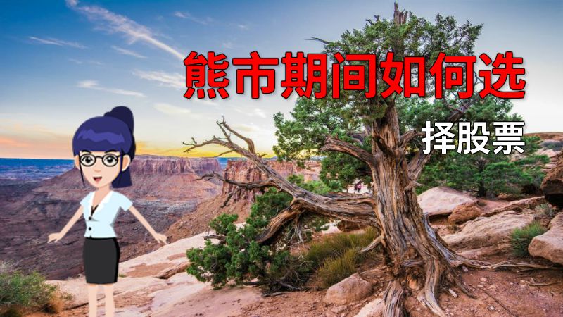 熊市期间如何选择股票 动画制作软件有哪些