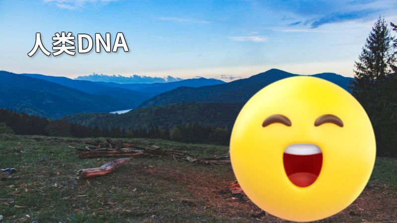 人类DNA 动画制作软件有哪些