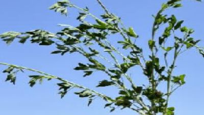 新建工程20240312.am 动画制作软件有哪些