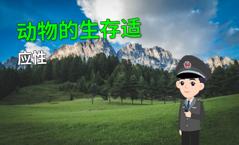 动物的生存适应性 动画制作软件有哪些