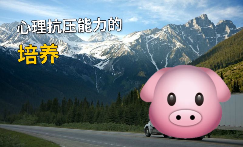 心理抗压能力的培养 动画制作软件有哪些