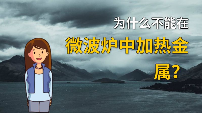 为什么不能在微波炉中加热金属？ 动画制作软件有哪些