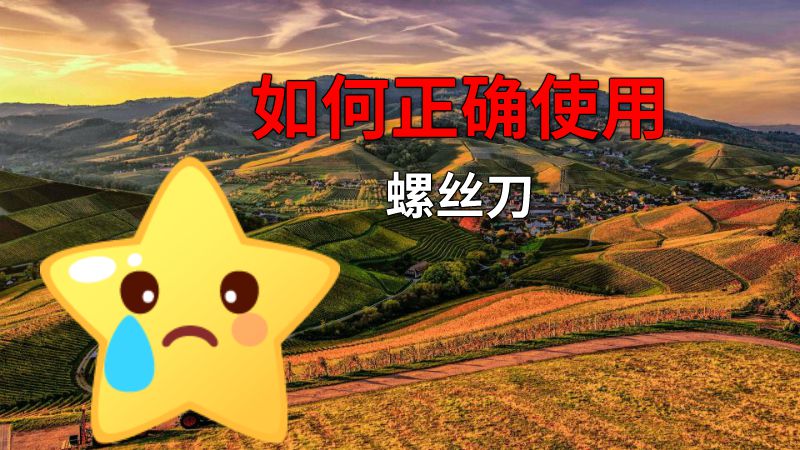 如何正确使用螺丝刀 动画制作软件有哪些