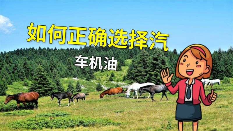 如何正确选择汽车机油 动画制作软件有哪些