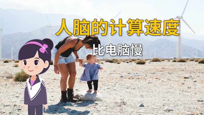 人脑的计算速度比电脑慢 动画制作软件有哪些