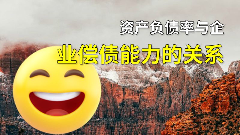 资产负债率与企业偿债能力的关系 动画制作软件有哪些