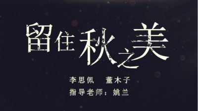 新建工程20240705.am 动画制作软件有哪些