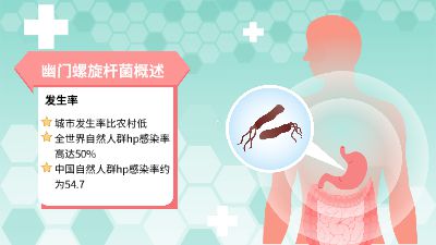 22 动画制作软件有哪些