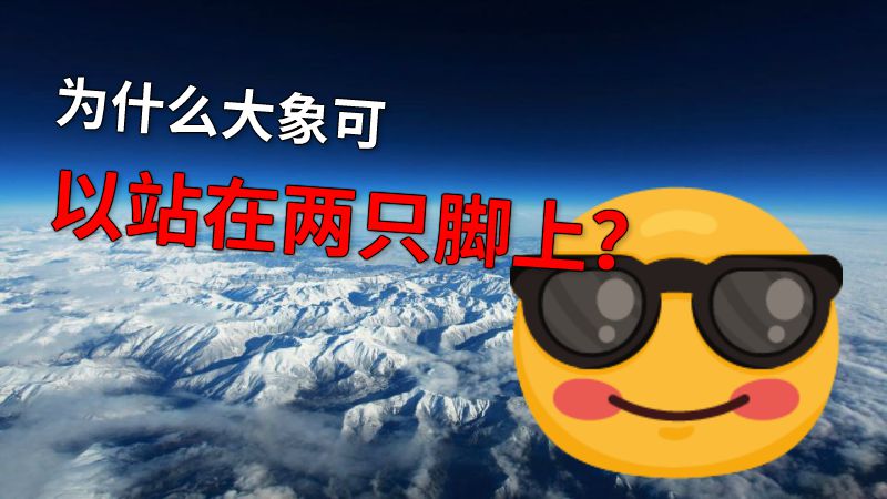 为什么大象可以站在两只脚上？ 动画制作软件有哪些