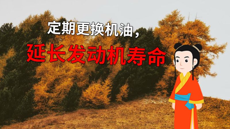 定期更换机油，延长发动机寿命 动画制作软件有哪些