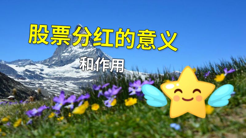 股票分红的意义和作用 动画制作软件有哪些