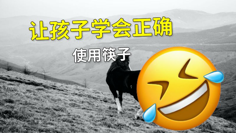 让孩子学会正确使用筷子 动画制作软件有哪些