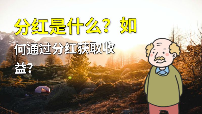 分红是什么？如何通过分红获取收益？ 动画制作软件有哪些