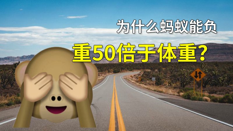 为什么蚂蚁能负重50倍于体重？ 动画制作软件有哪些