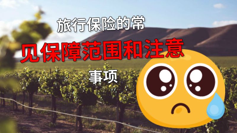 旅行保险的常见保障范围和注意事项 动画制作软件有哪些