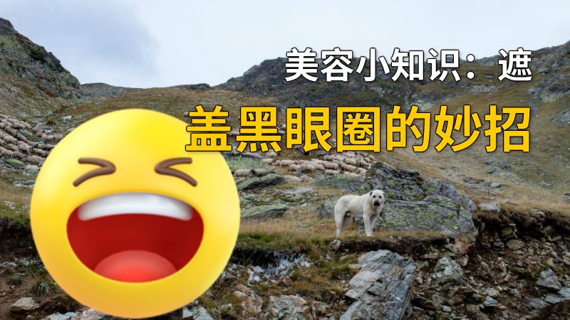 美容小知识：遮盖黑眼圈的妙招 动画制作软件有哪些