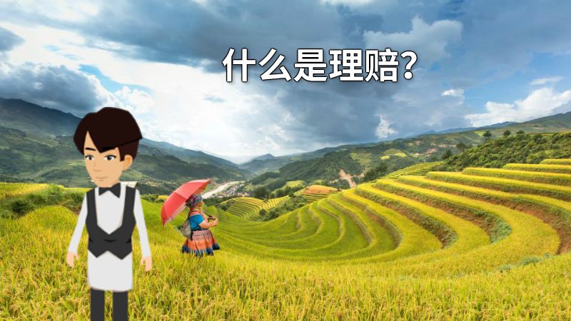 什么是理赔？ 动画制作软件有哪些