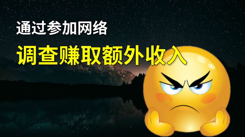 通过参加网络调查赚取额外收入 动画制作软件有哪些
