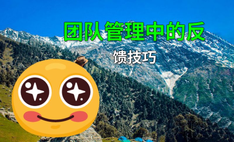 团队管理中的反馈技巧 动画制作软件有哪些