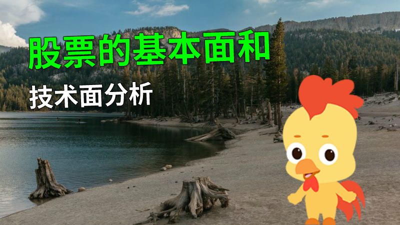 股票的基本面和技术面分析 动画制作软件有哪些