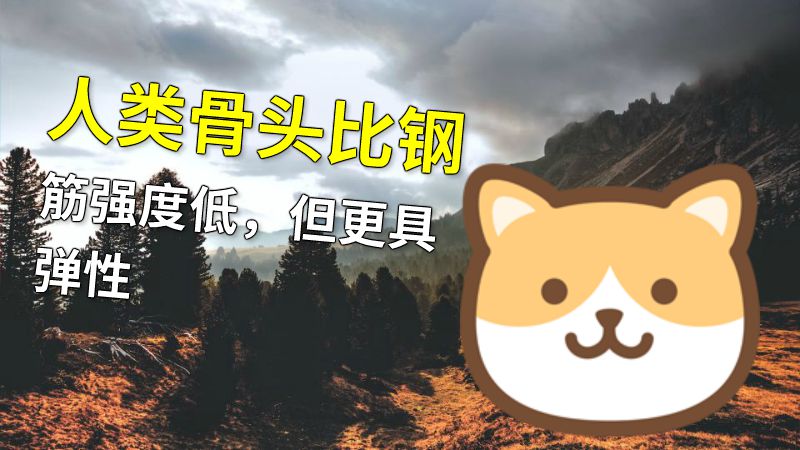 人类骨头比钢筋强度低，但更具弹性 动画制作软件有哪些