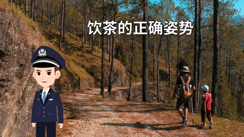 饮茶的正确姿势 动画制作软件有哪些