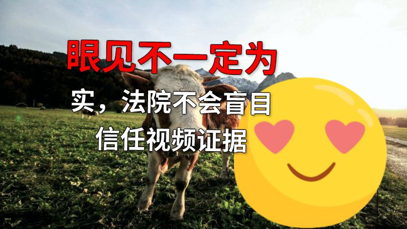 眼见不一定为实，法院不会盲目信任视频证据 动画制作软件有哪些