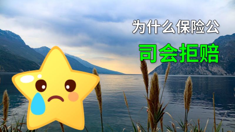 为什么保险公司会拒赔 动画制作软件有哪些