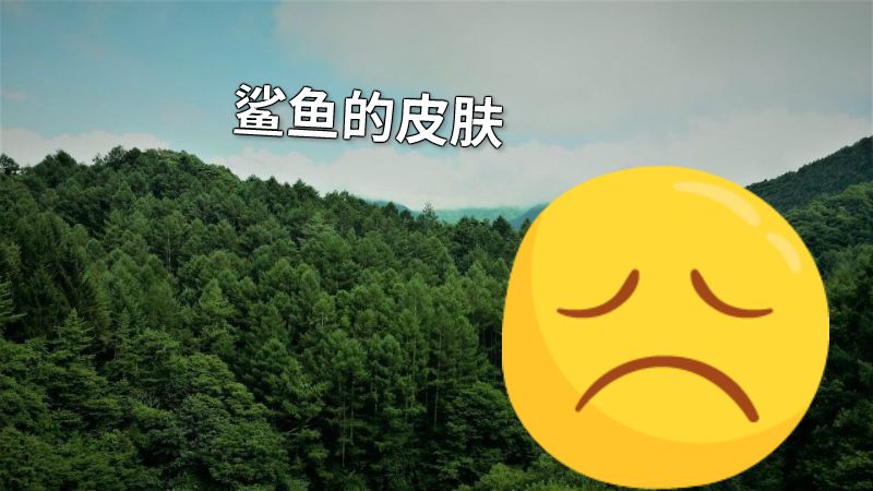 鲨鱼的皮肤 动画制作软件有哪些