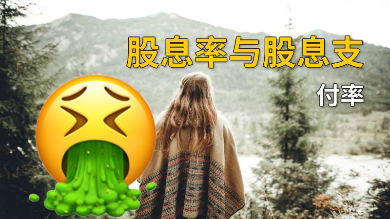 股息率与股息支付率 动画制作软件有哪些