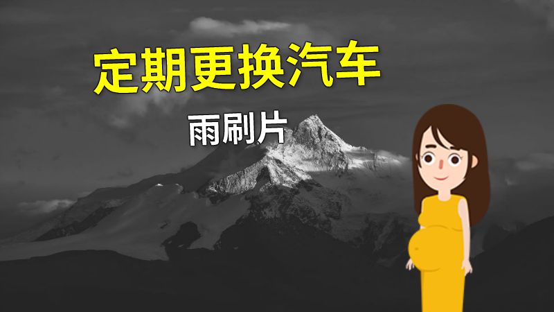 定期更换汽车雨刷片 动画制作软件有哪些
