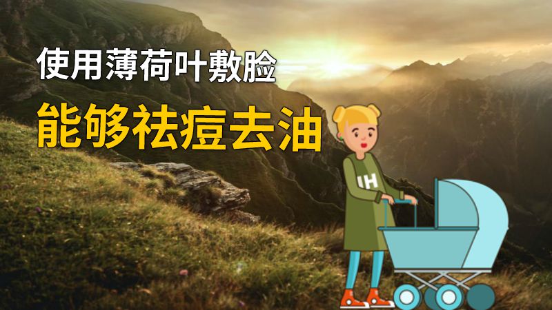 使用薄荷叶敷脸能够祛痘去油 动画制作软件有哪些