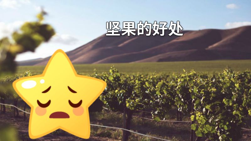 坚果的好处 动画制作软件有哪些