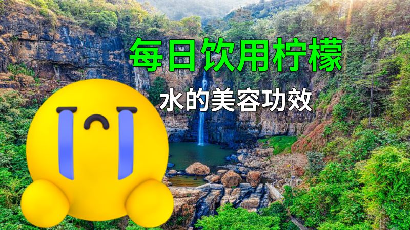 每日饮用柠檬水的美容功效 动画制作软件有哪些