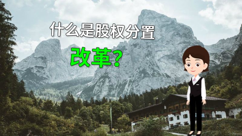 什么是股权分置改革？ 动画制作软件有哪些