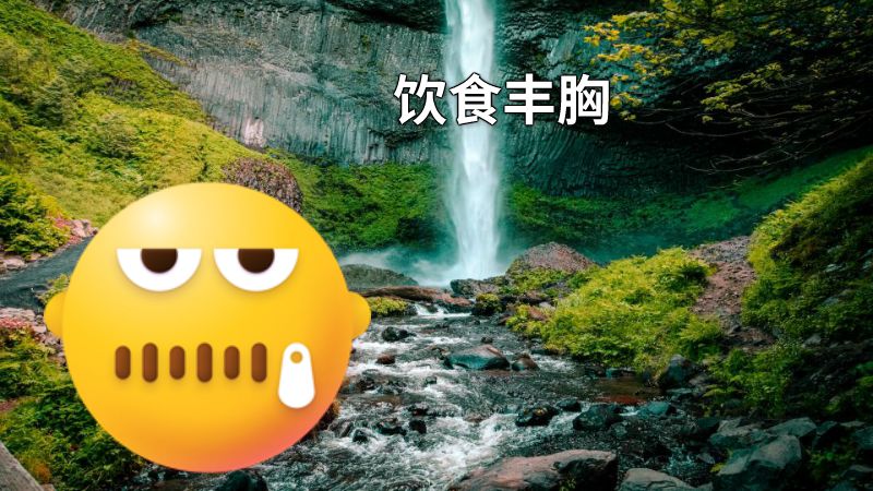 饮食丰胸 动画制作软件有哪些