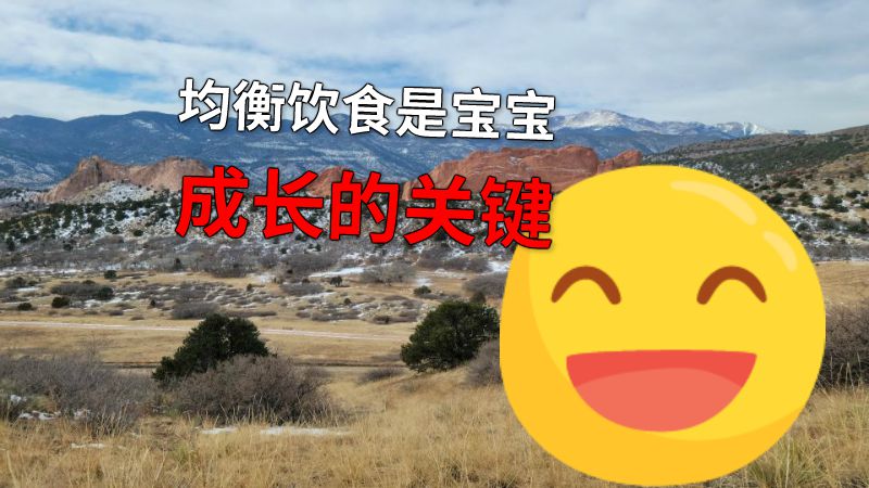 均衡饮食是宝宝成长的关键 动画制作软件有哪些