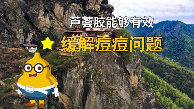 芦荟胶能够有效缓解痘痘问题 动画制作软件有哪些
