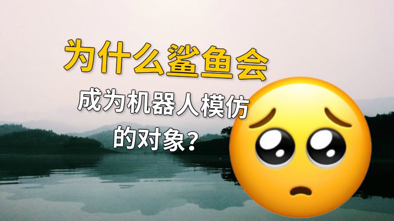 为什么鲨鱼会成为机器人模仿的对象？ 动画制作软件有哪些
