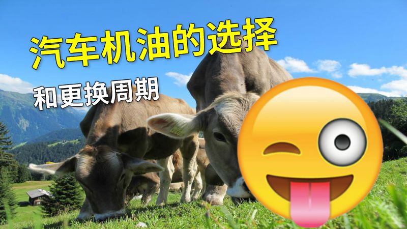 汽车机油的选择和更换周期 动画制作软件有哪些