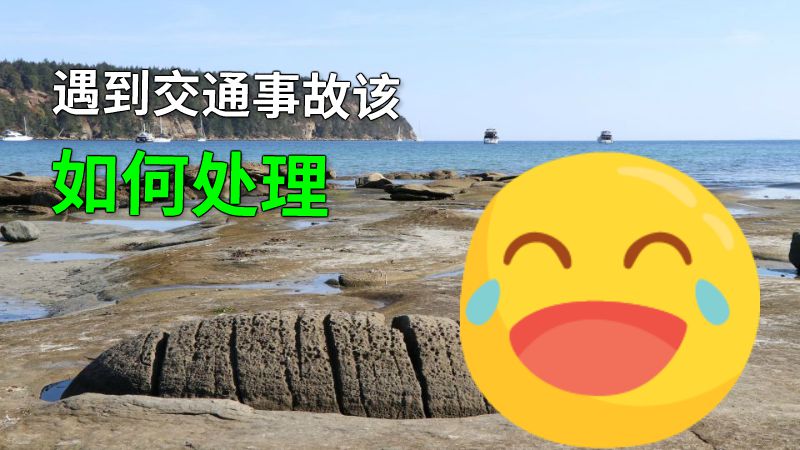 遇到交通事故该如何处理 动画制作软件有哪些