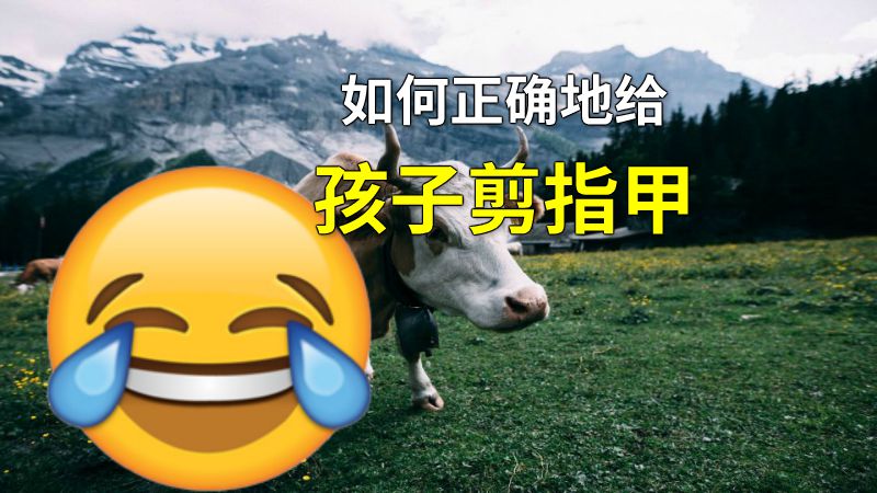 如何正确地给孩子剪指甲 动画制作软件有哪些