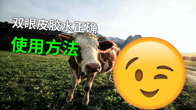 双眼皮胶水正确使用方法 动画制作软件有哪些