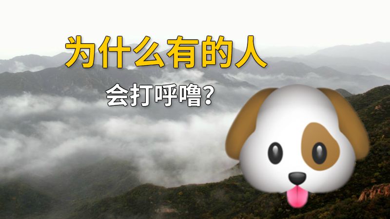 为什么有的人会打呼噜？ 动画制作软件有哪些