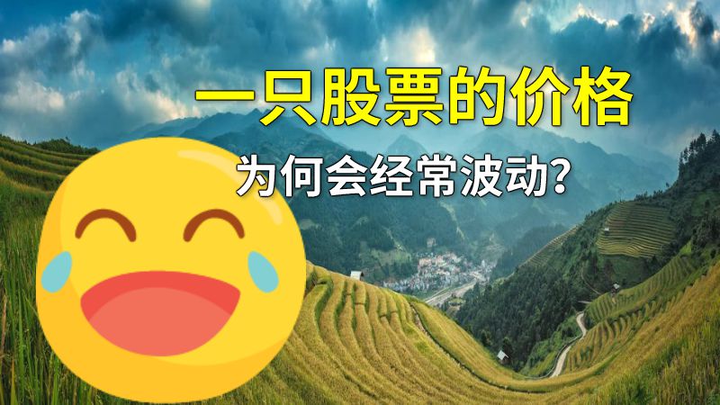 一只股票的价格为何会经常波动？ 动画制作软件有哪些