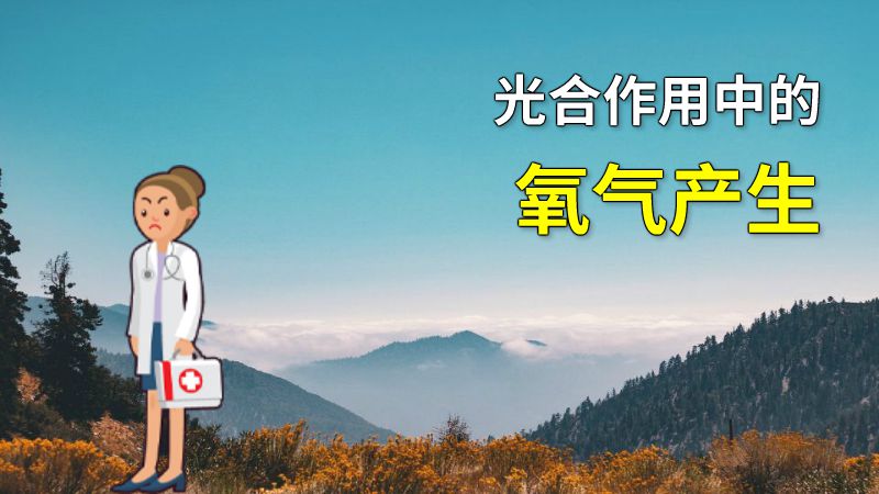 光合作用中的氧气产生 动画制作软件有哪些
